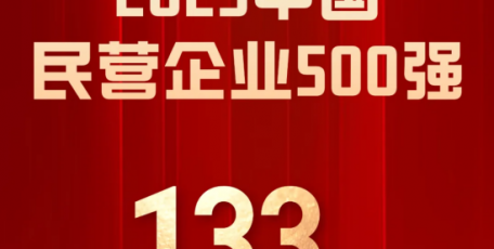 泰豐盛合控股集團(tuán)連續(xù)四年入圍中國民營企業(yè)500強(qiáng)榜單，躍居第133位！