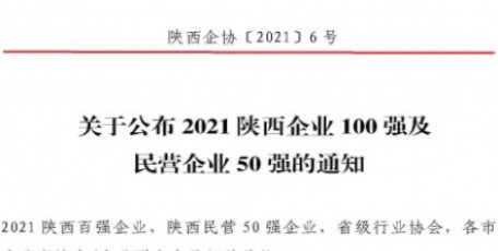 2021陜西100強企業(yè)、陜西民營50強企業(yè)及2012-2021連續(xù)十年入圍陜西100強企業(yè)名單