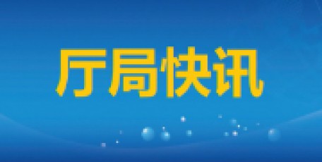上半年全省經(jīng)濟運行總體平穩(wěn)質(zhì)效提升